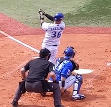 せがれの紅白戦