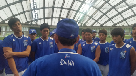 フェニックス完