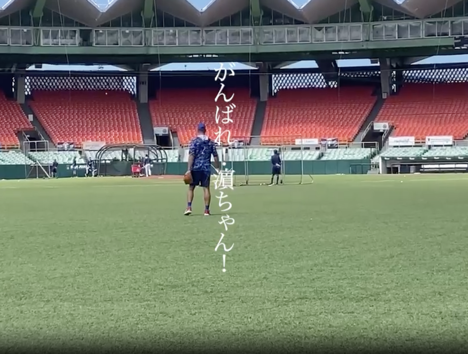 カゴ係りで見るNPBとの違い