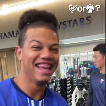 ニワトリ？きのこ？