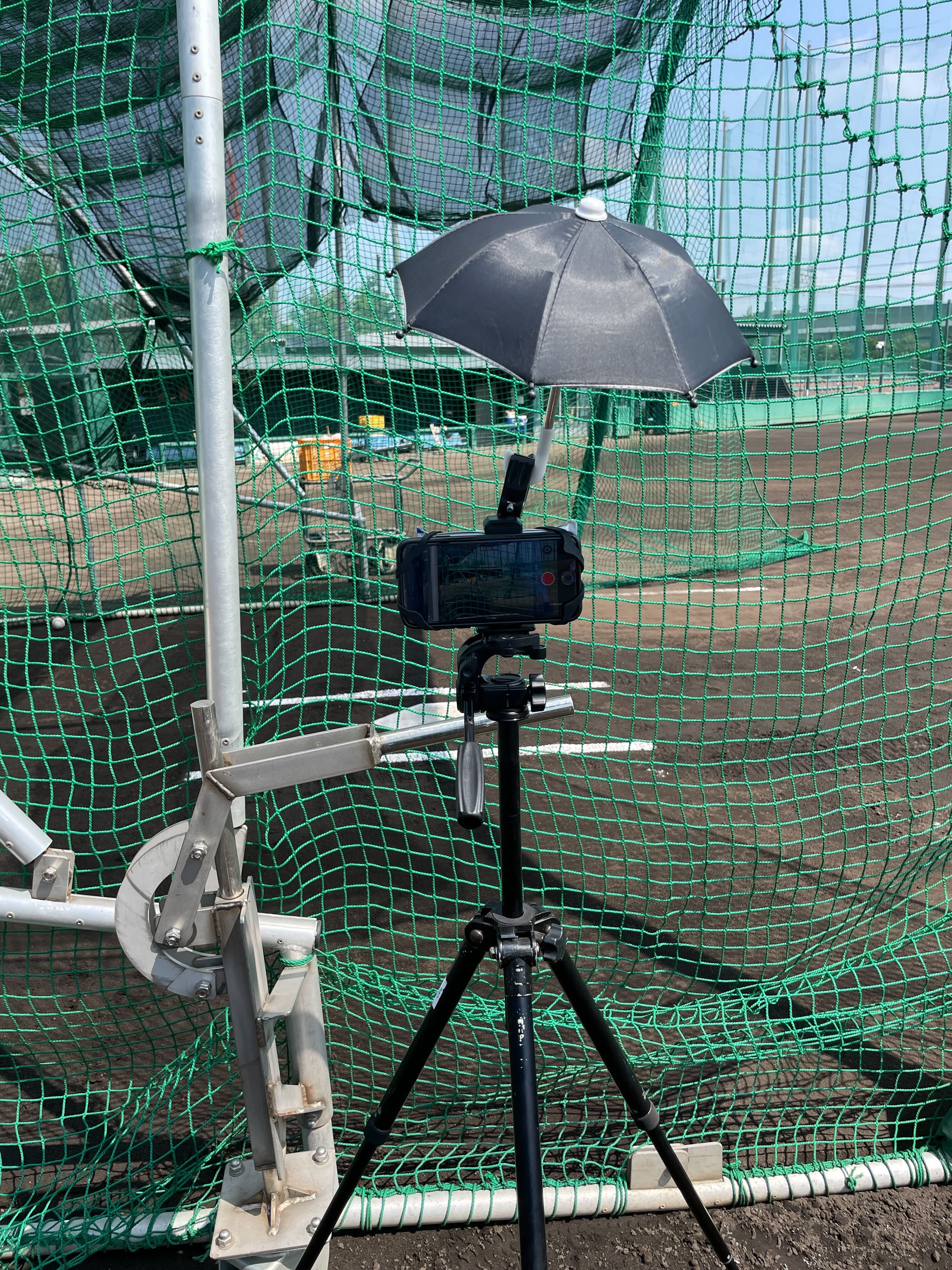 人間だけじゃない